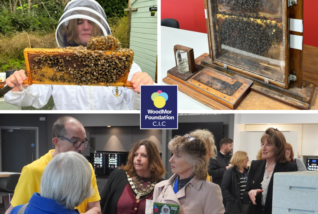 Aico Celebrate WoodMor’s Successful Beekeeping Programme for Derwen ...